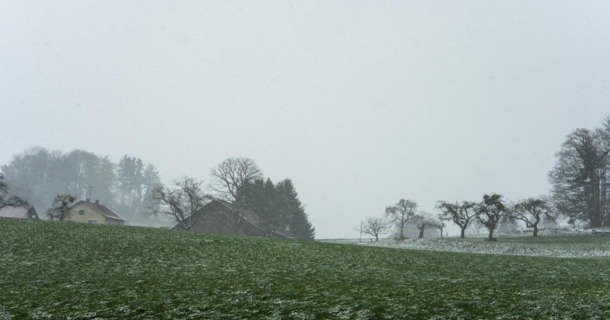Dense Fog and Cold Wave Alert