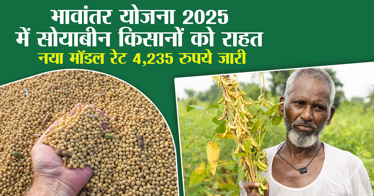 भावांतर भुगतान योजना 2025