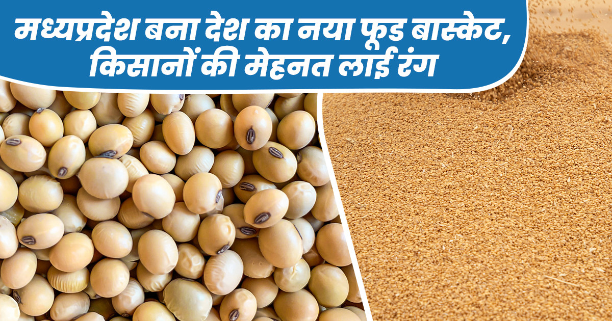 मध्यप्रदेश फूड-बास्केट