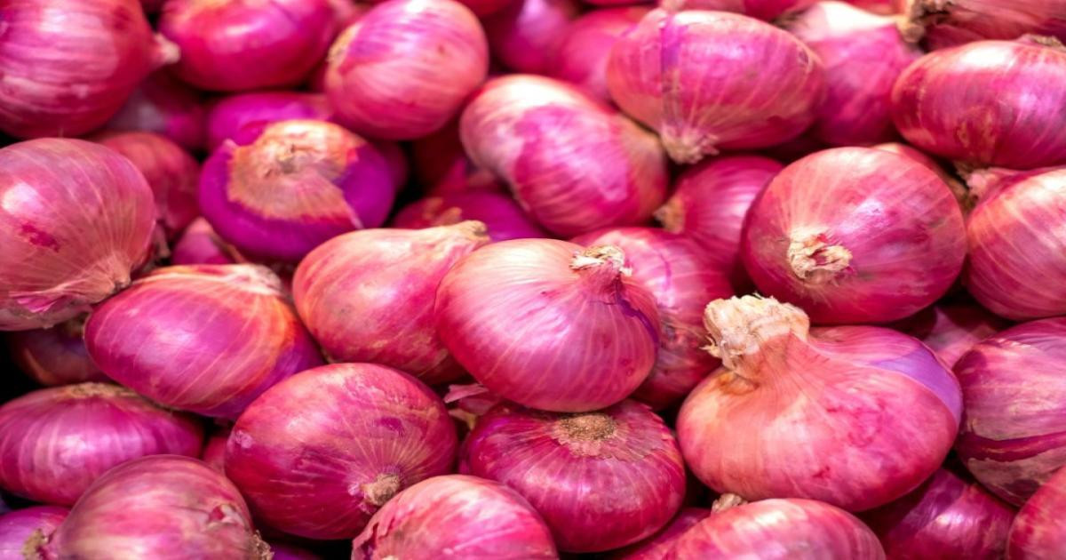 Onion Prices