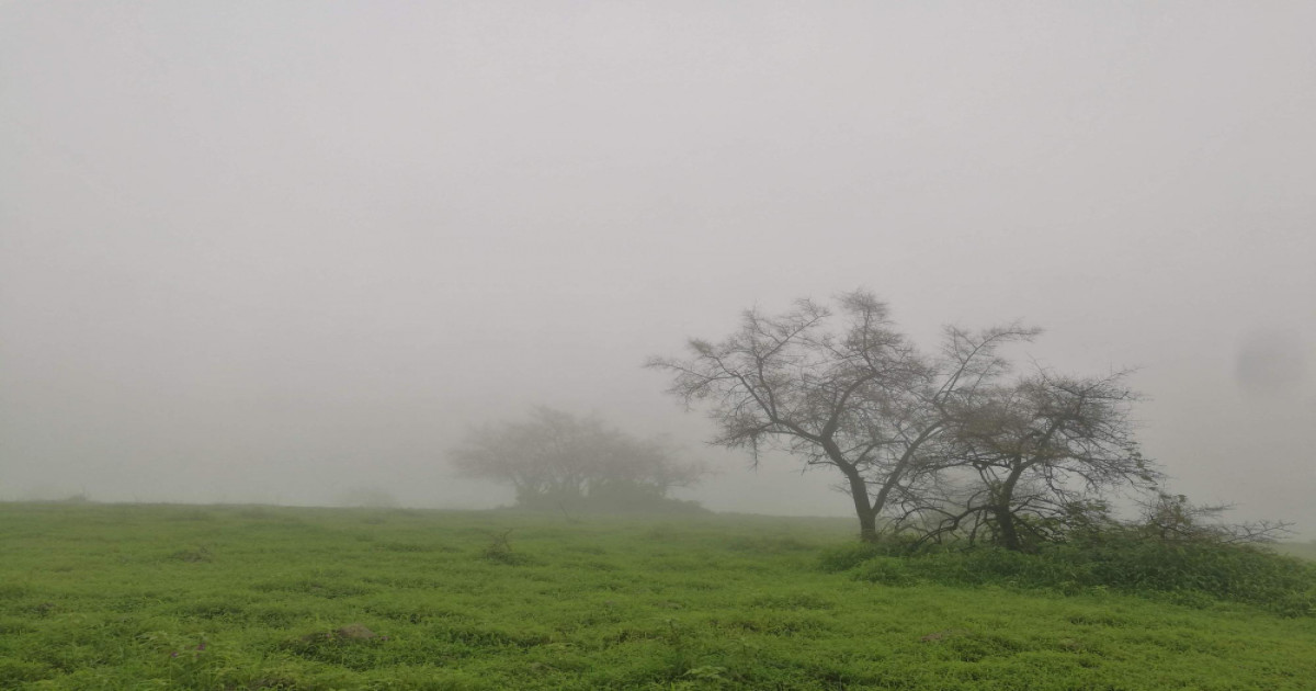 Dense Fog and Cold Wave in North India