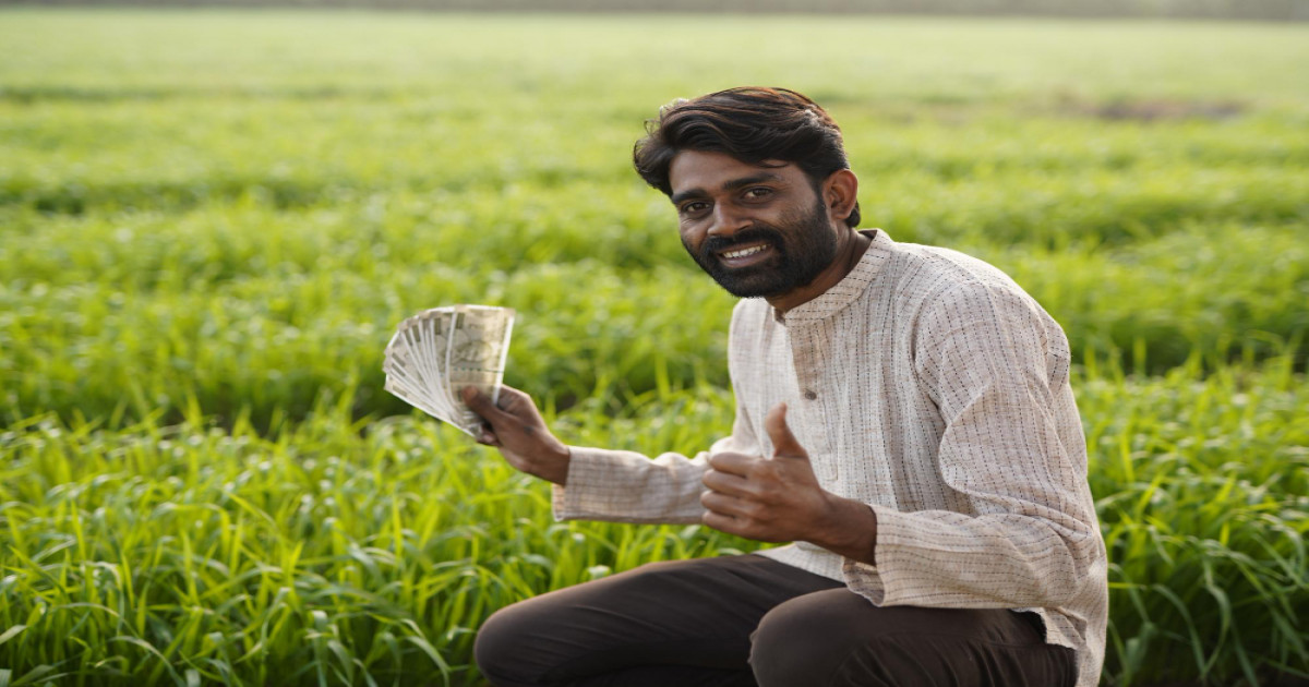 Digital Fertilizer Subsidy 2026