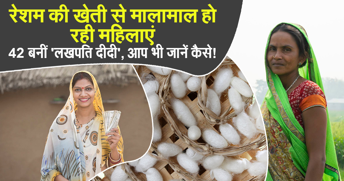 रेशम उत्पादन