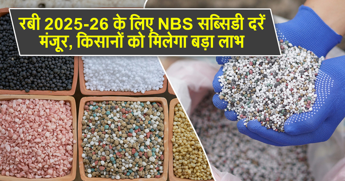 NBS सब्सिडी रबी 2025-26
