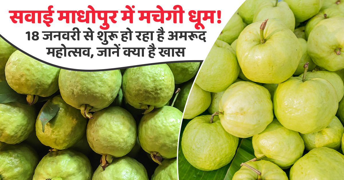 Sawai Madhopur Guava Festival 2026