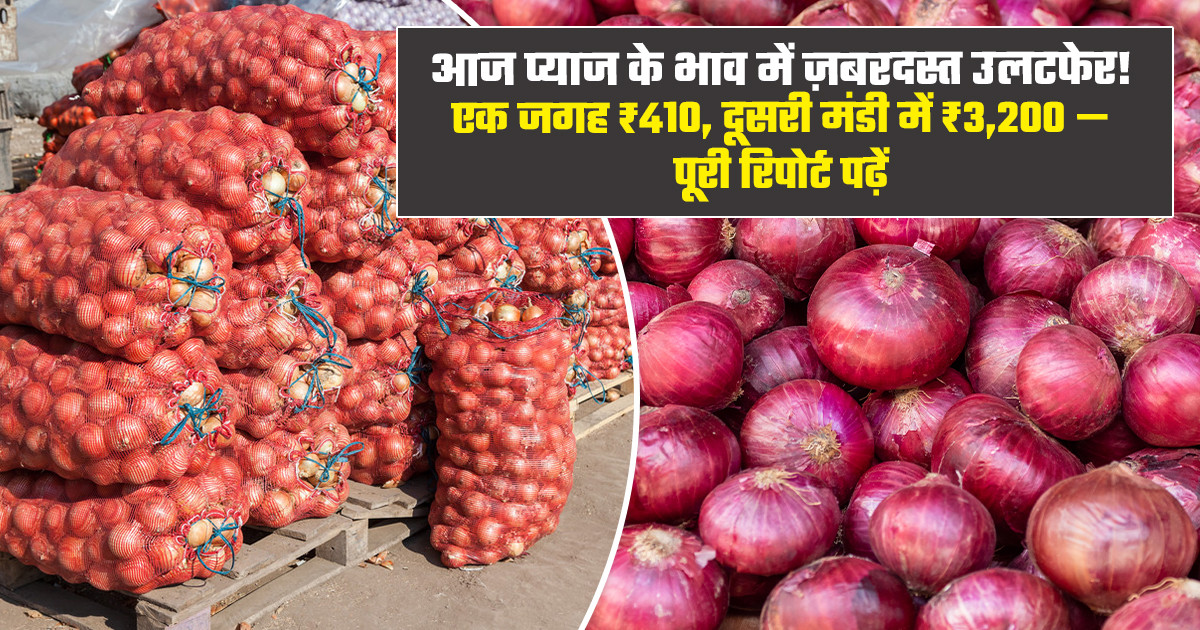 Onion Prices