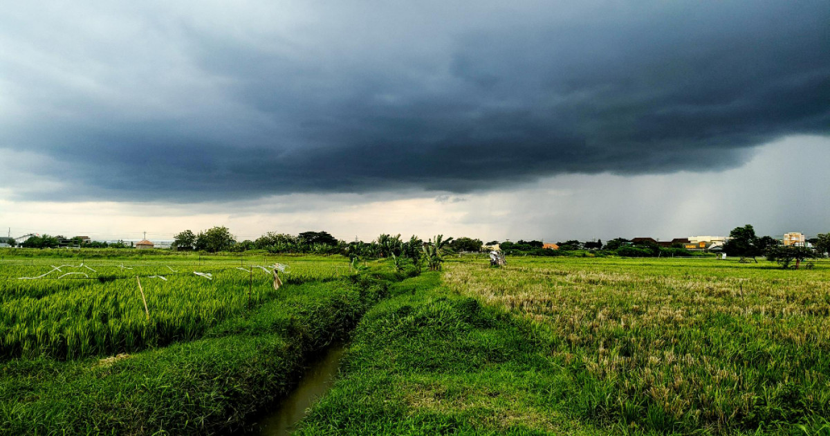 Rain and Storm Alert