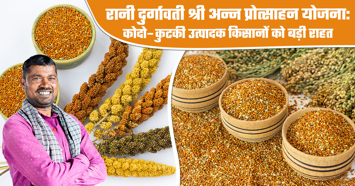 कोदो-कुटकी खरीदी की तारीख