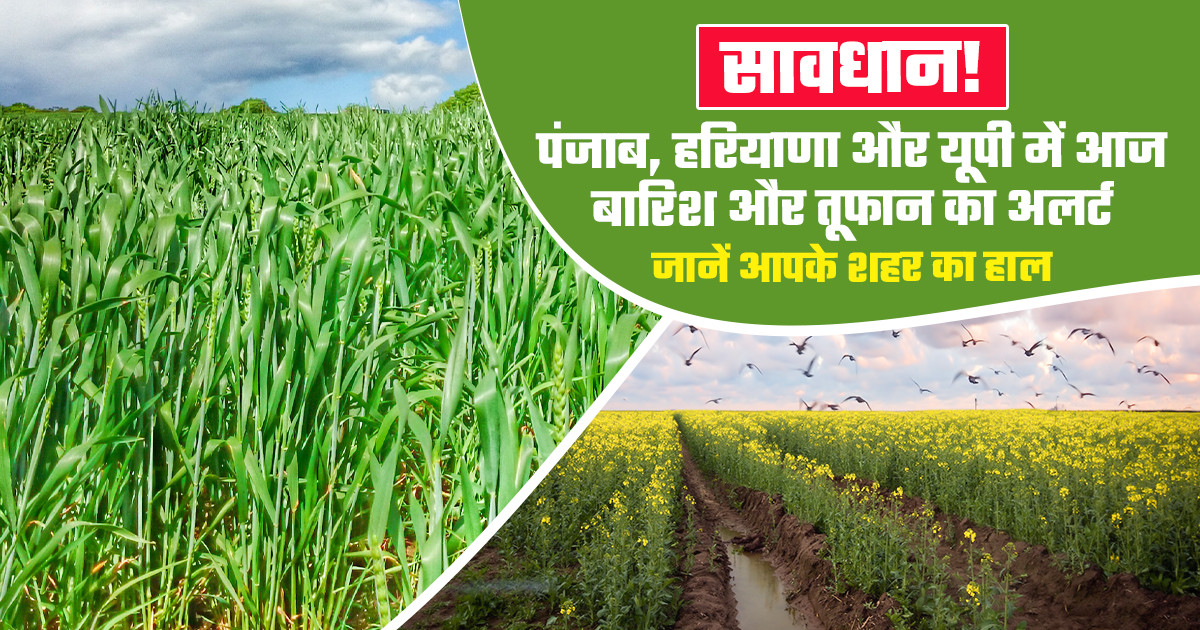 आज का मौसम