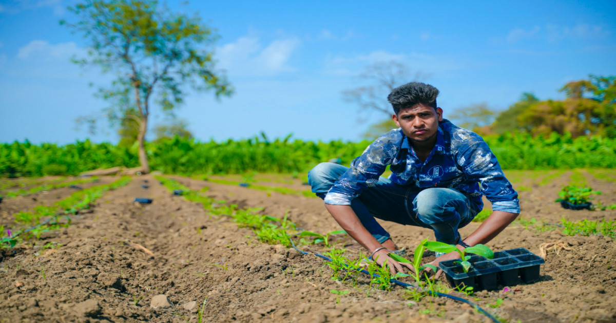 Rabi crops sowing area 2026