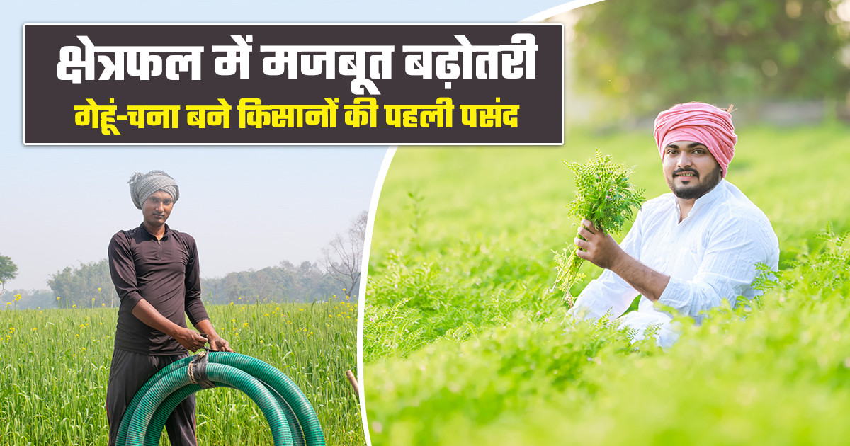 Rabi crops sowing area 2026