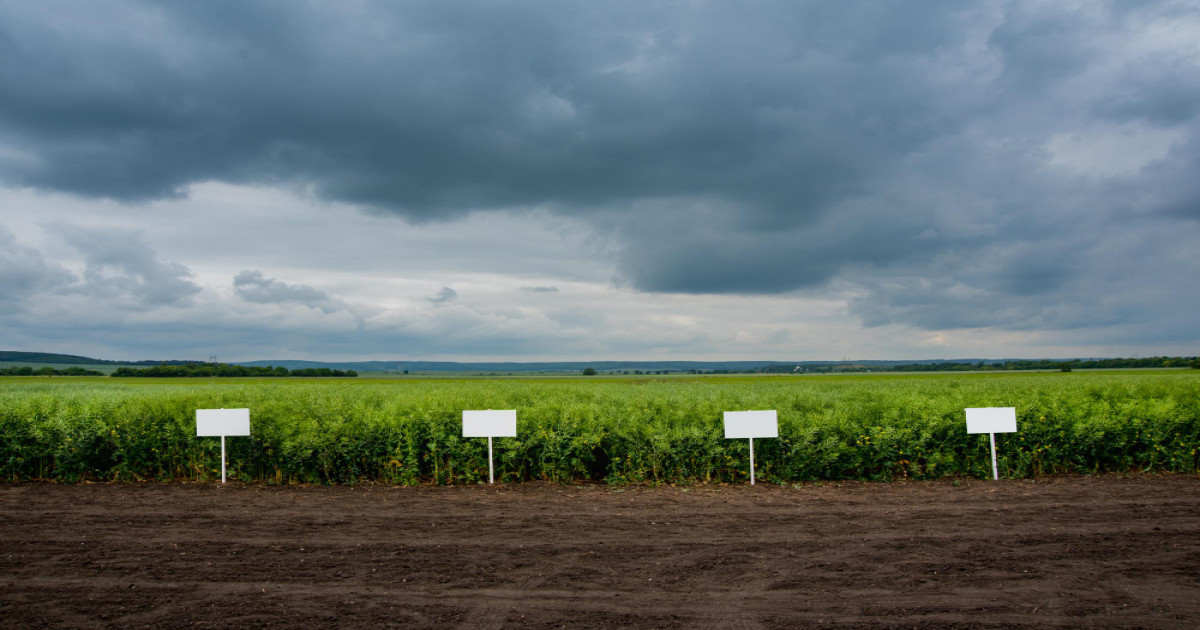 Weather forecast 3 February 2026