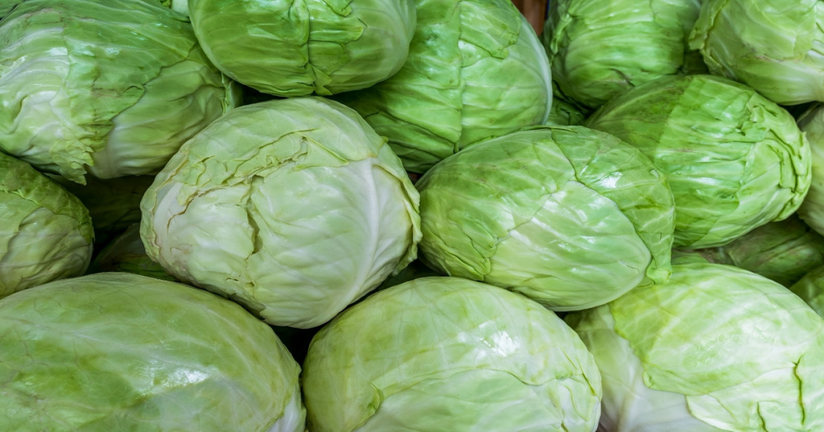 Cabbage Market Prices Today (05 February, 2026)
