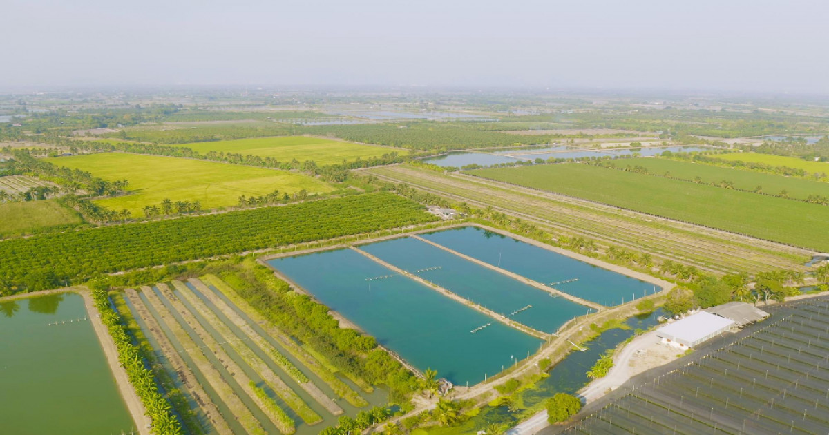 उत्तर प्रदेश खेत तालाब योजना