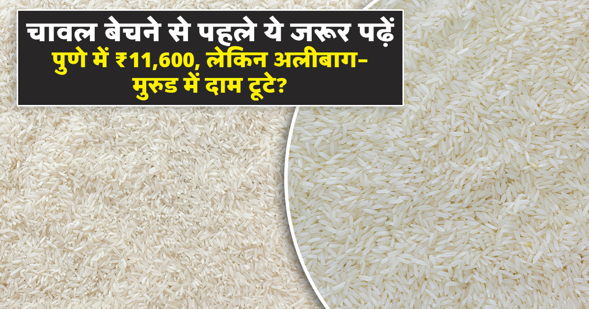 Rice Prices Today (06 February, 2026)