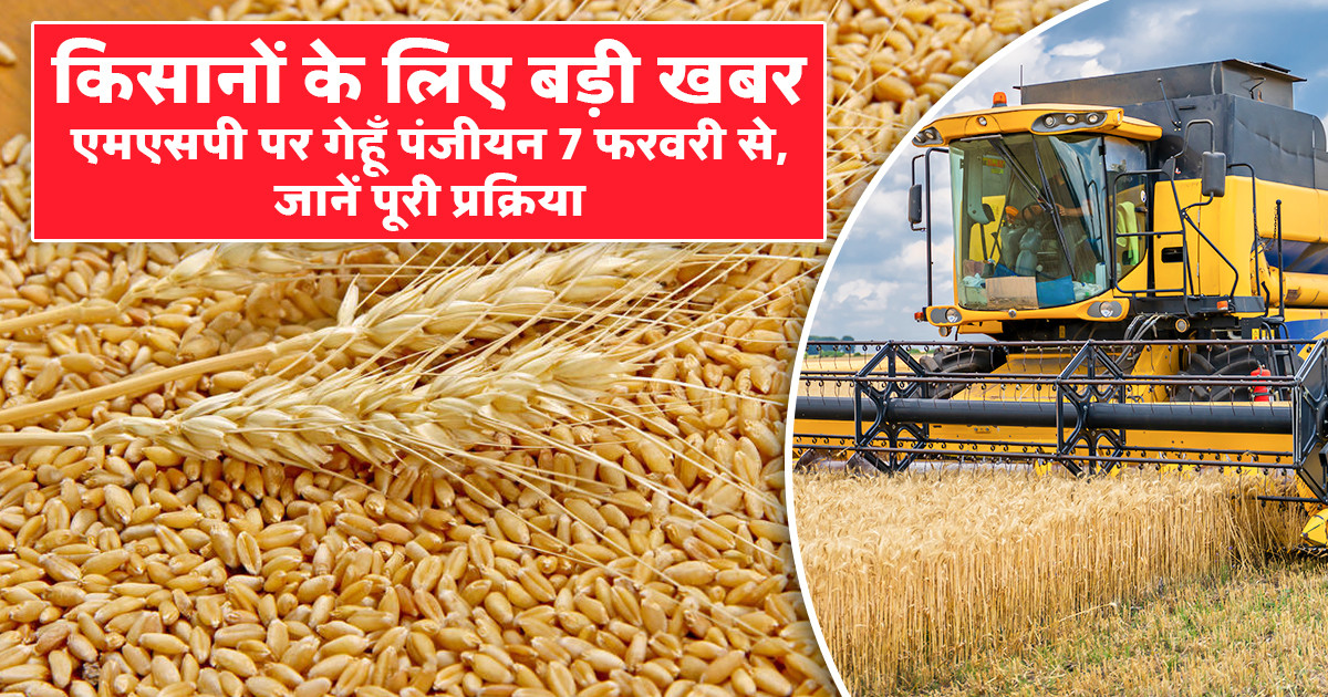 गेहूँ पंजीयन 2026-27