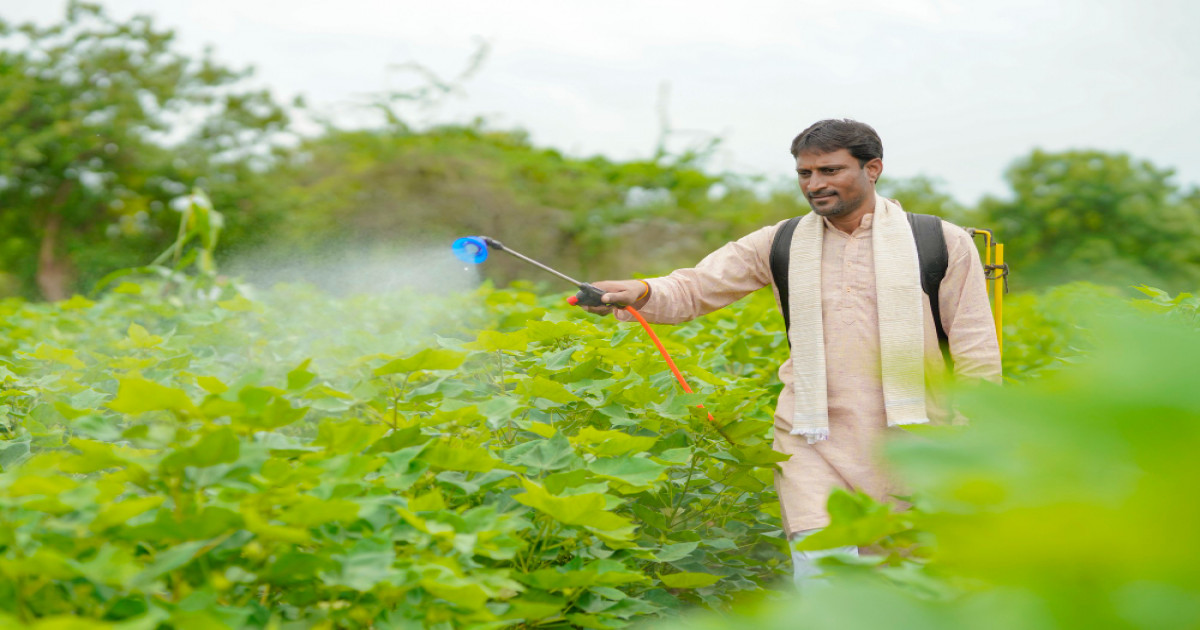 Arhar Crop Pest Control in February