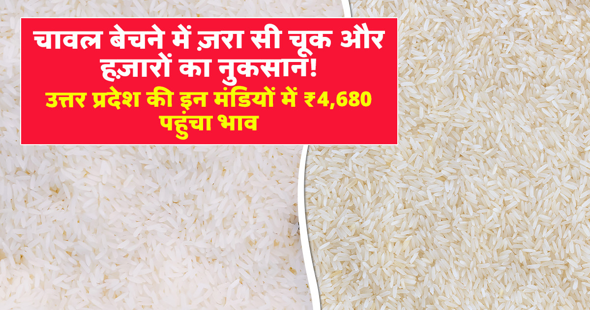 Rice Market Prices Today (23 Feb, 2026)