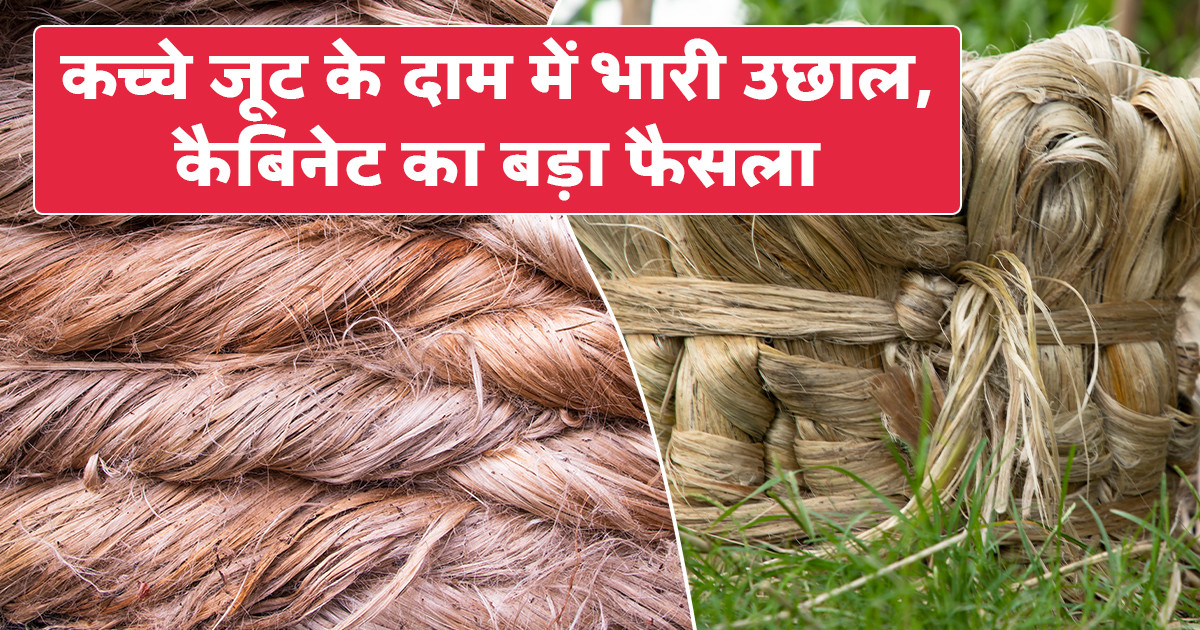कच्चे जूट का एमएसपी 2026-27