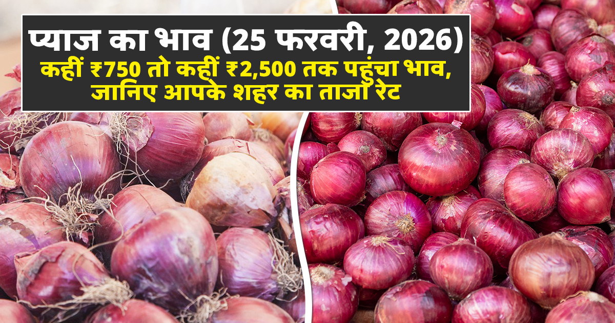 प्याज का भाव (25 फरवरी, 2026)