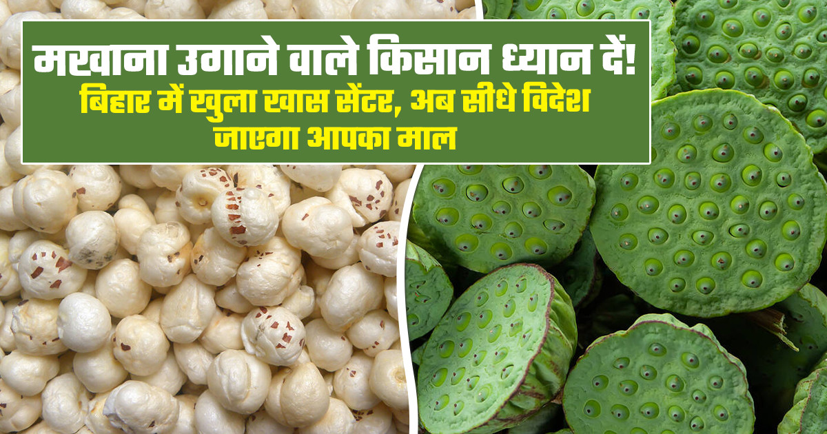 मखाना अनुसंधान एवं विकास केंद्र