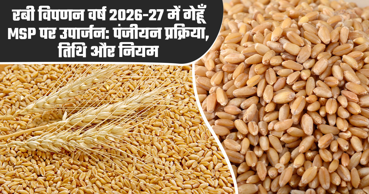 एमपी ई-उपार्जन (e-Uparjan)