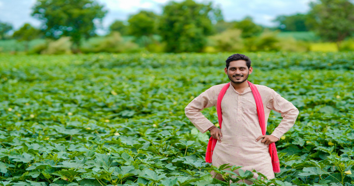 होम गार्डनिंग (Home Gardening)