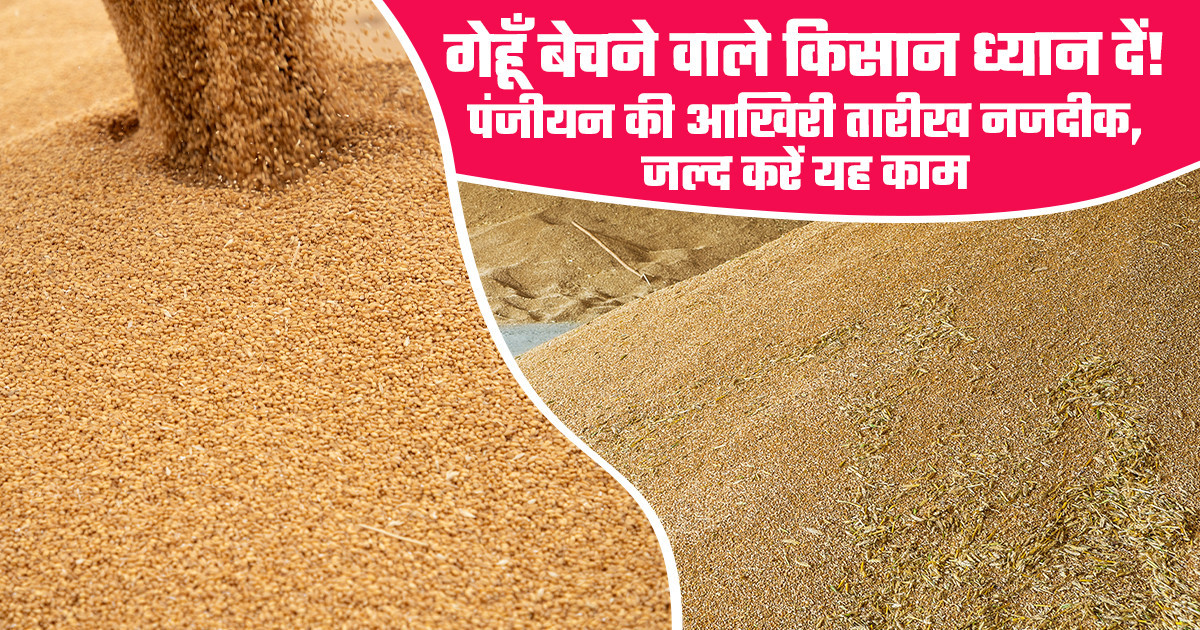 Wheat MSP Registration Last Date 2026