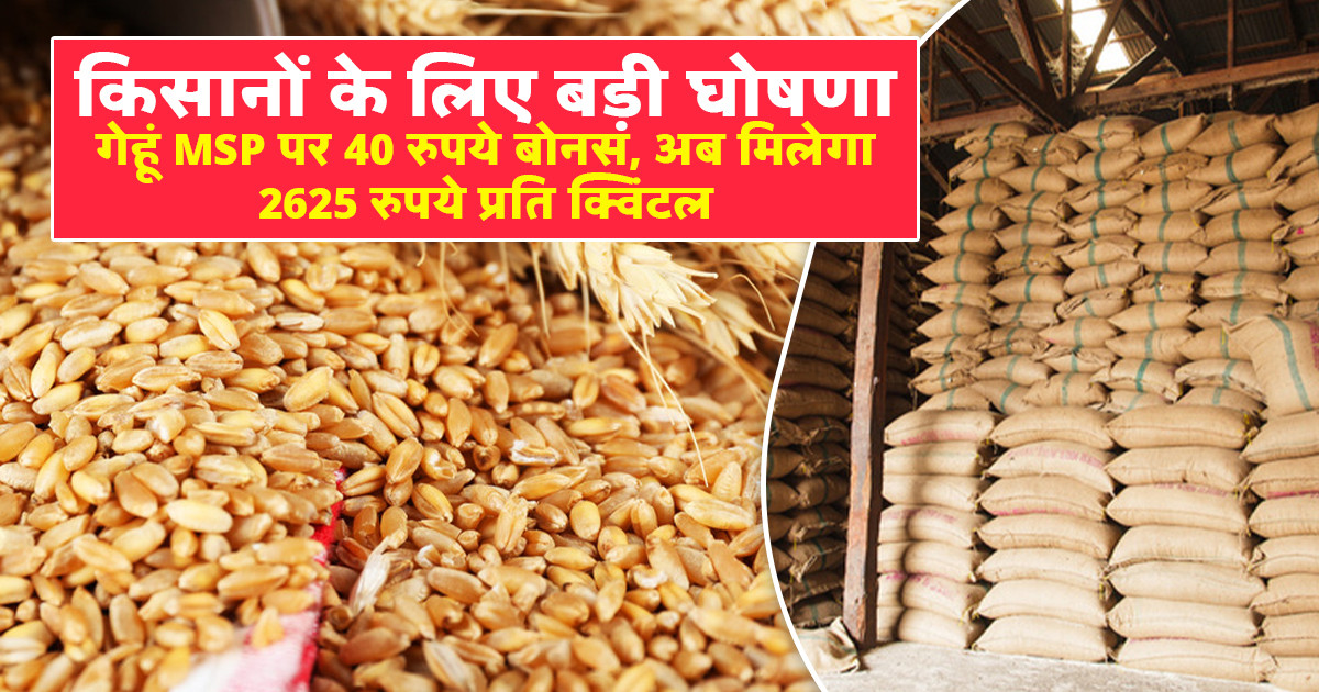 गेहूं का समर्थन मूल्य 2026 (Wheat MSP 2026)