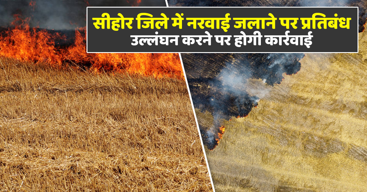 सीहोर जिले में खेतों में नरवाई जलाने पर प्रतिबंध