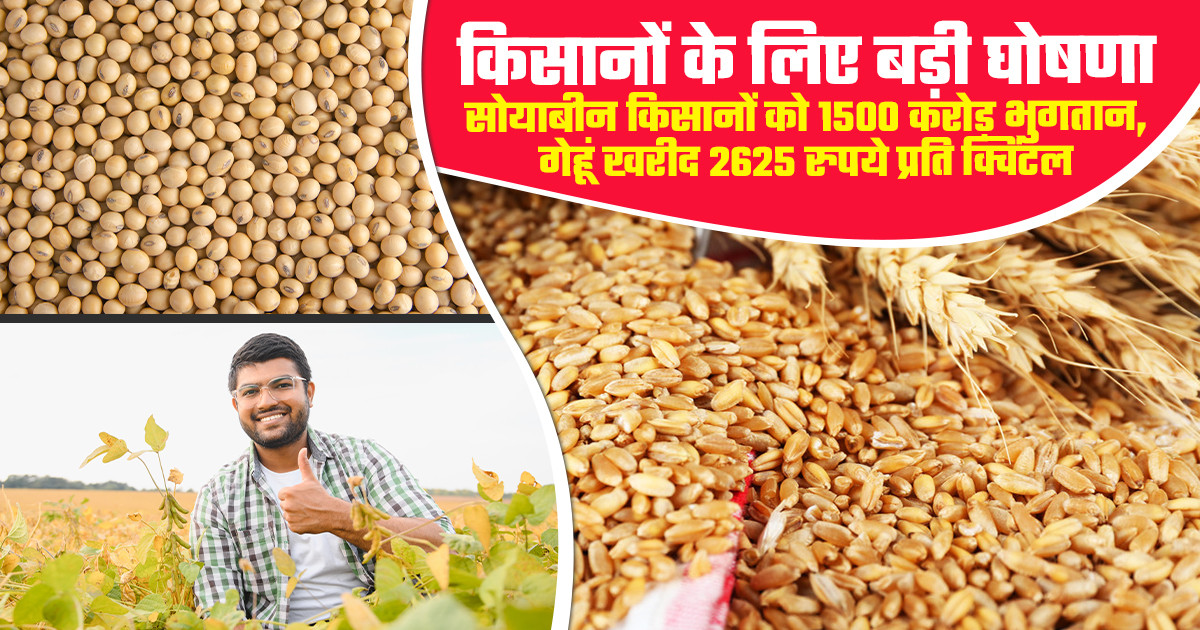 Soybean Farmers Payment