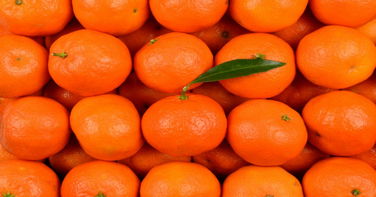 Orange Market Prices Today (14 March, 2026)