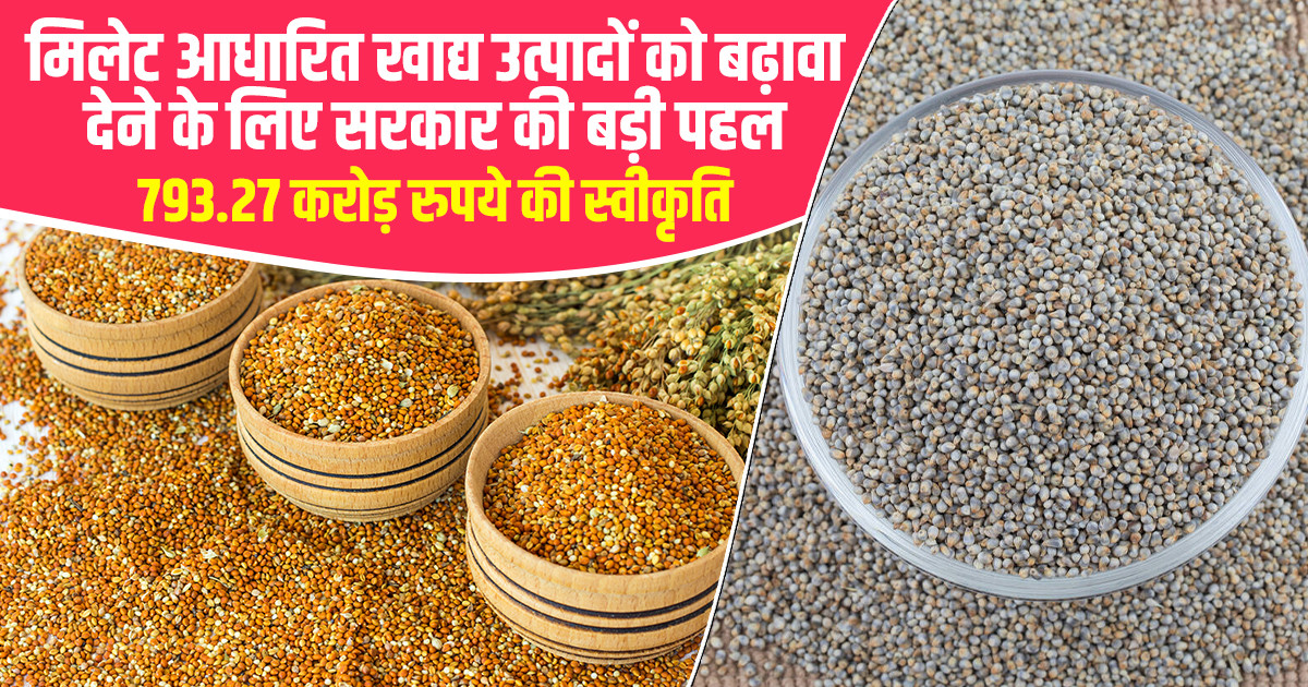 मिलेट उत्पाद