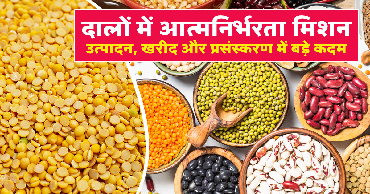Pulses Procurement by NAFED