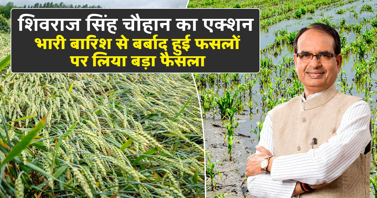 शिवराज सिंह चौहान कृषि मंत्री