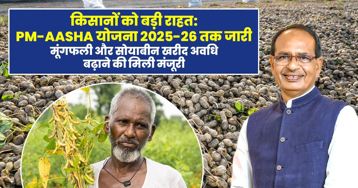 पीएम आशा योजना