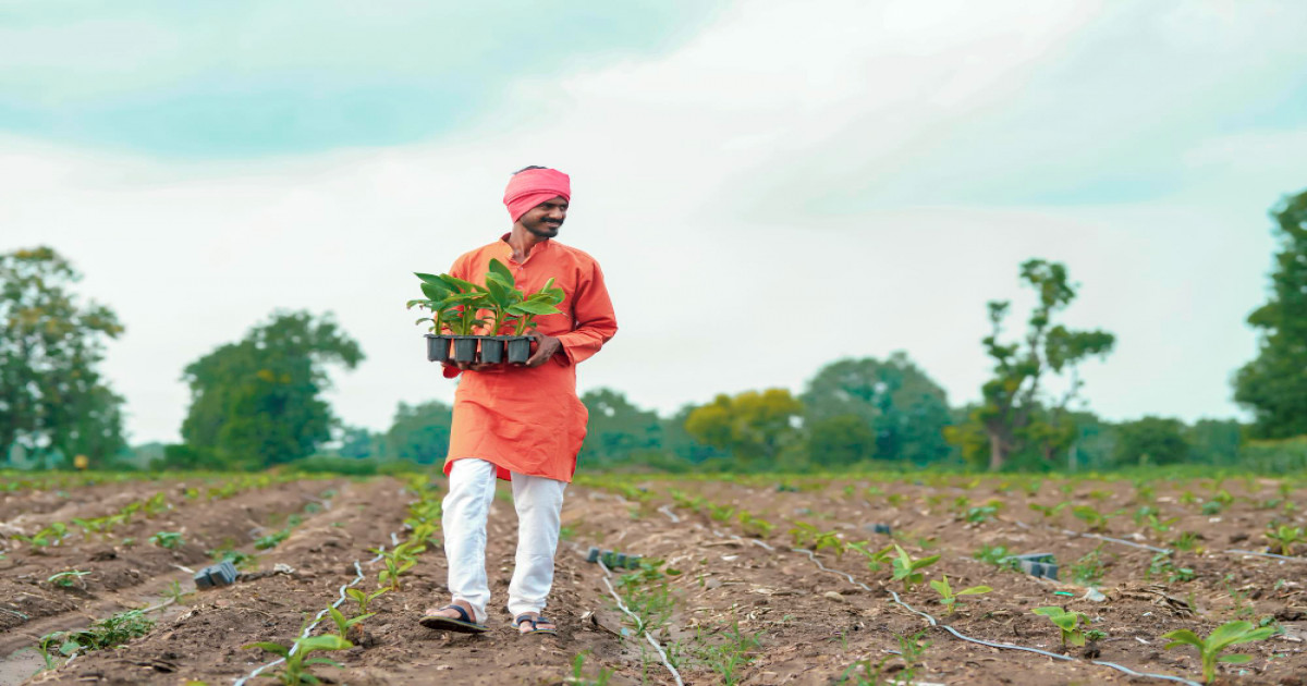 खाद की कालाबाजारी