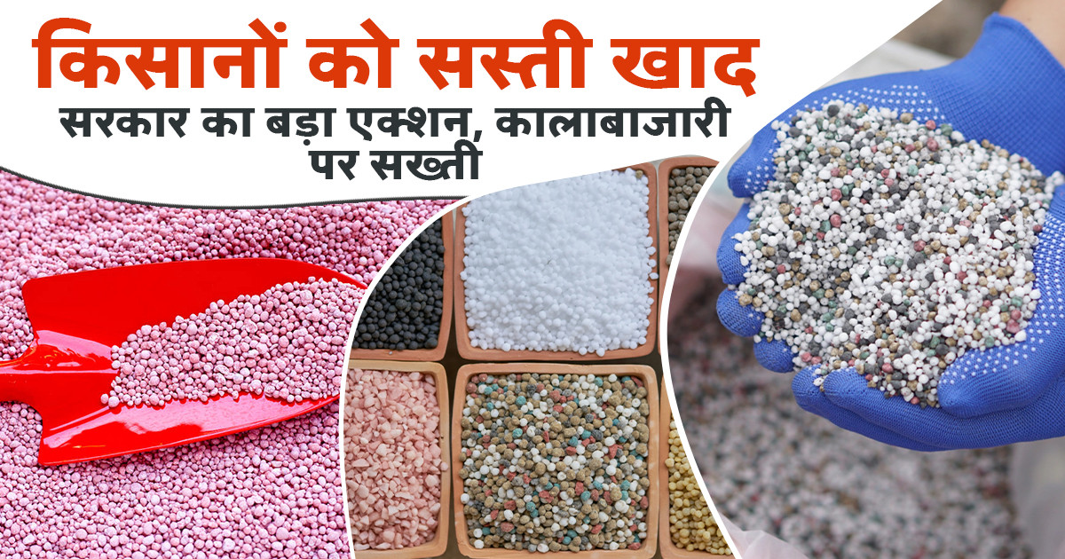 Fertilizer Black Marketing Action India