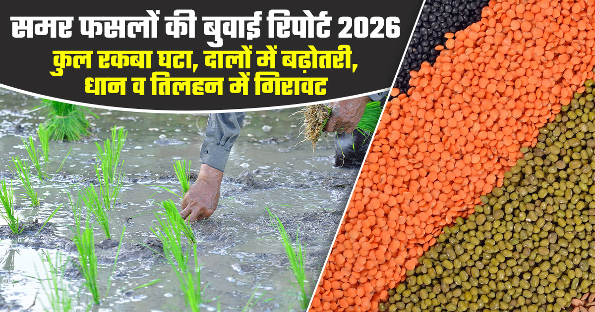 Summer crop sowing 2026 India