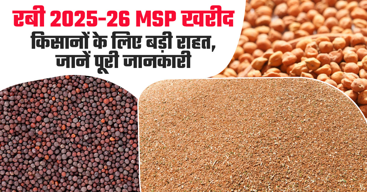 PSS योजना