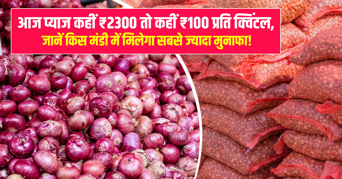 प्याज का भाव (03 अप्रैल, 2026)