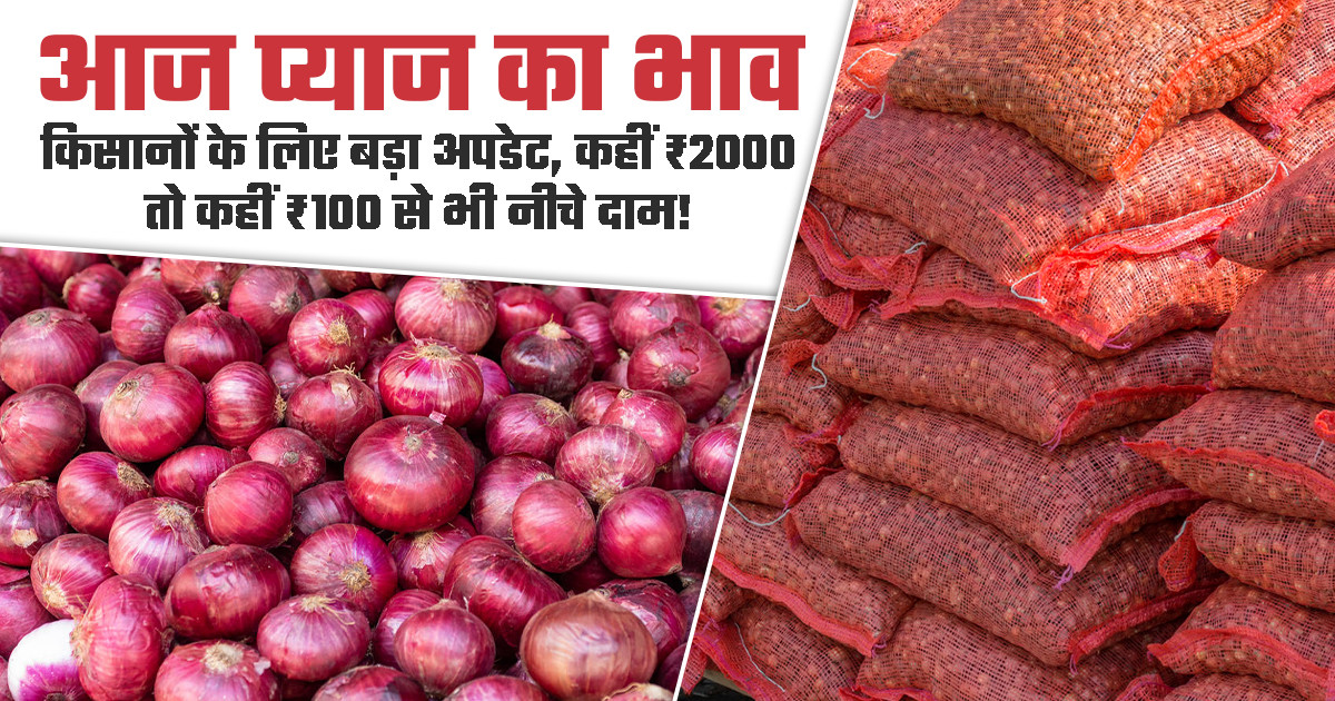 प्याज का भाव (03 अप्रैल, 2026)
