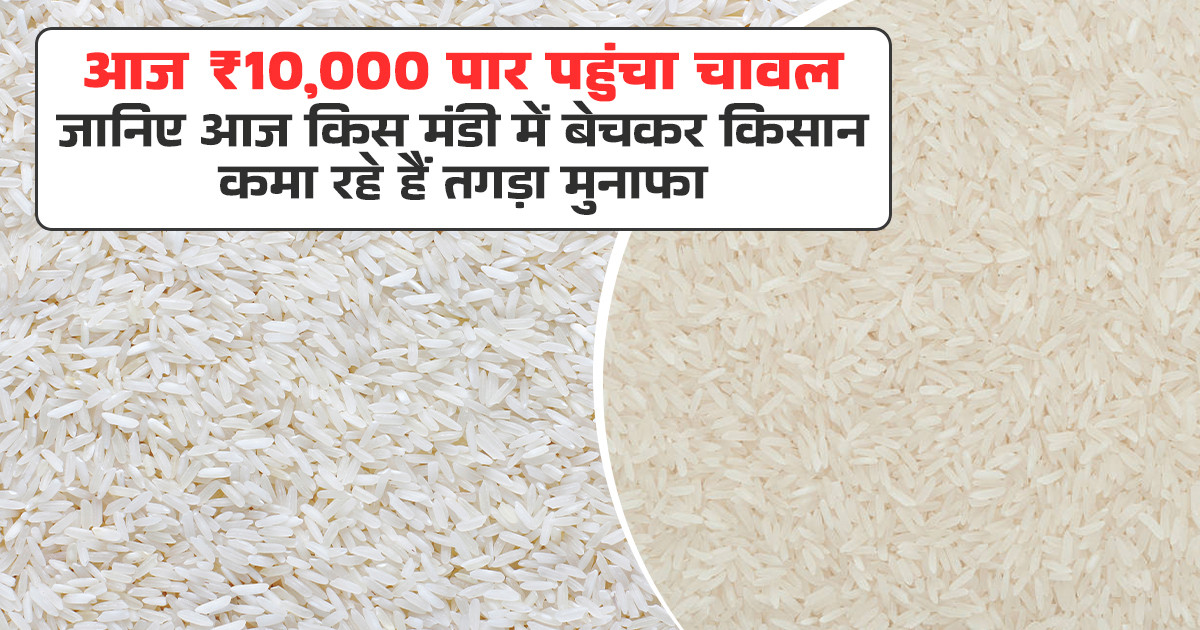 चावल का भाव (05 अप्रैल, 2026)