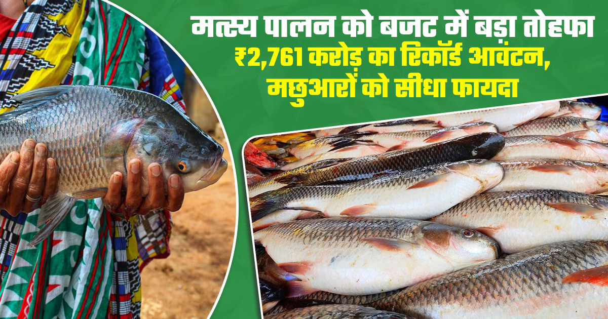केंद्रीय बजट 2026-27 मत्स्य पालन