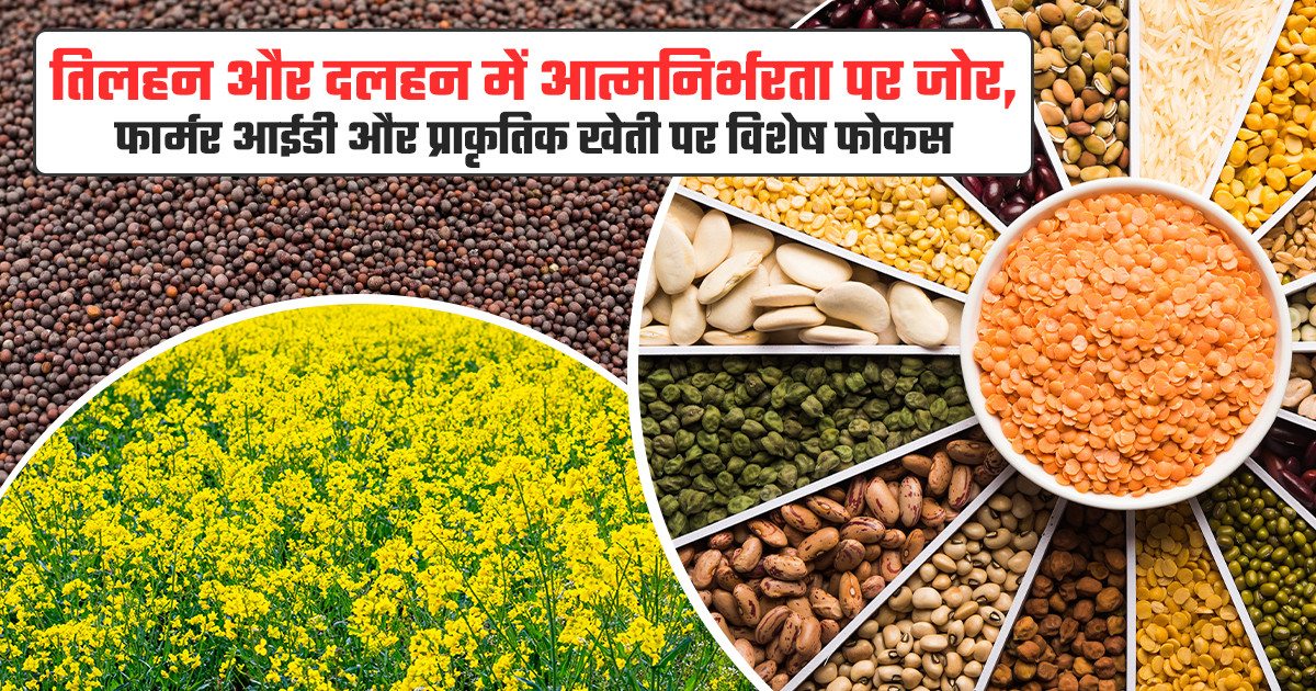 तिलहन दलहन आत्मनिर्भरता योजना