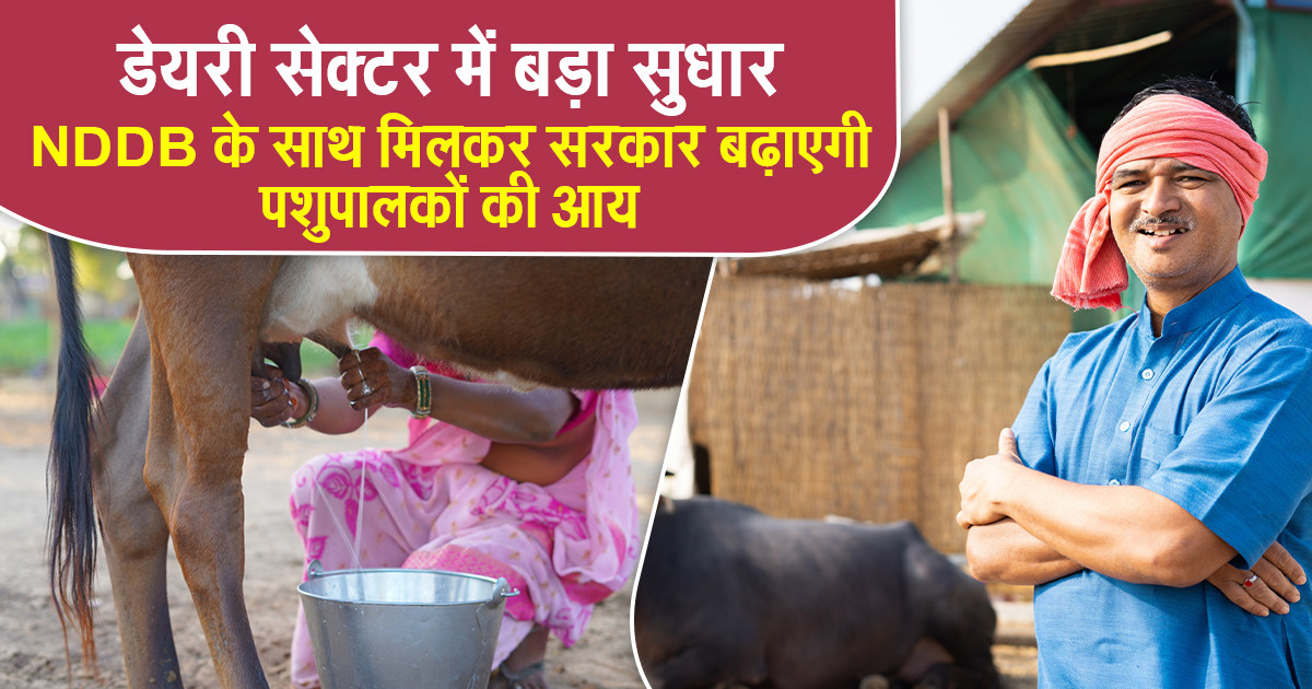 मध्यप्रदेश डेयरी योजना