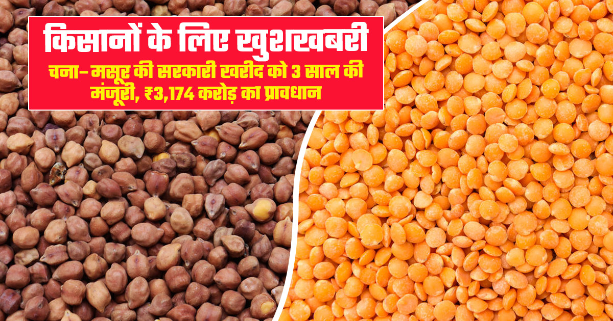 MP Govt Gram Masoor Procurement Scheme