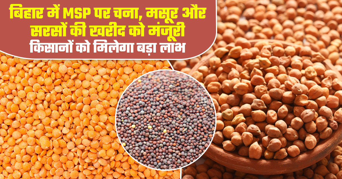बिहार MSP खरीद 2026