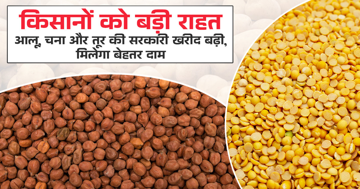 Government Crop Procurement Scheme