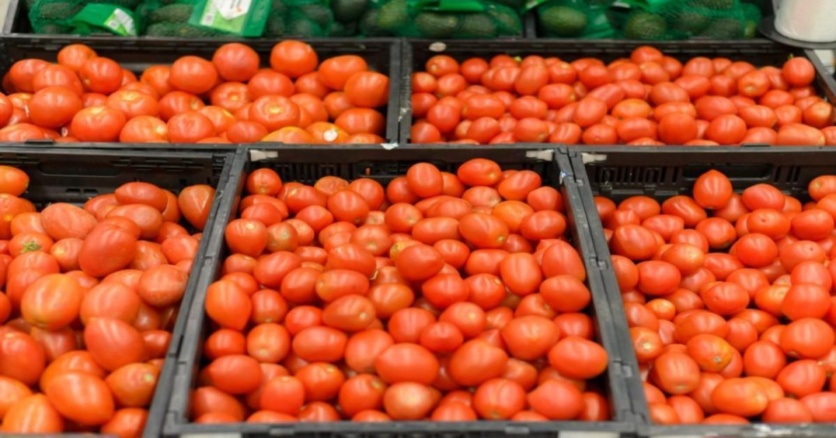 Tomato Prices Today